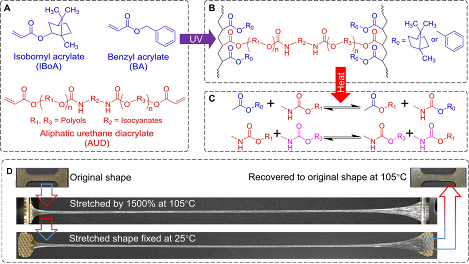 1758097844145968.png 4.png