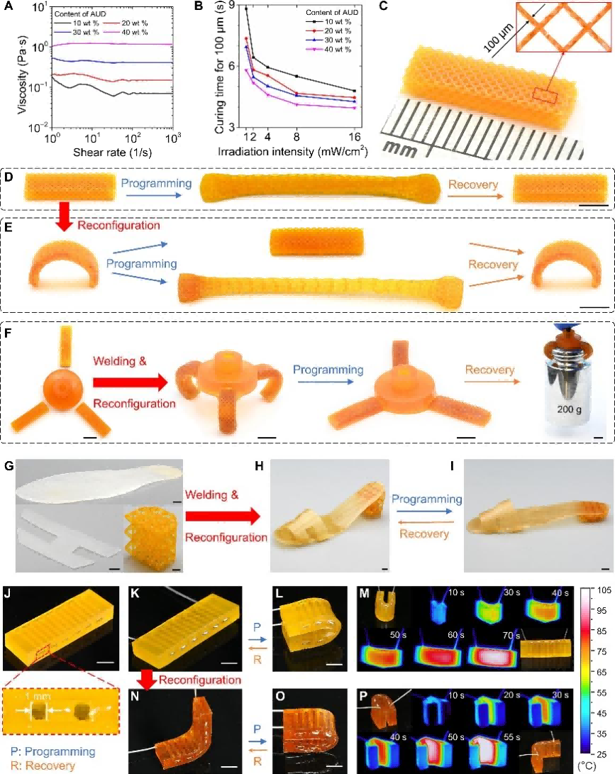 1758097853751386.png 5.png