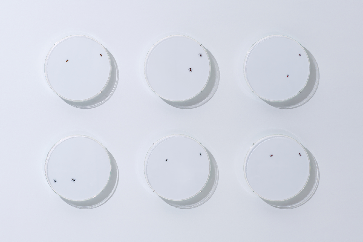 1758098154103819.png 6.png