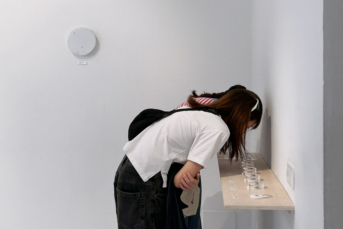 1758098165194289.png 5.png