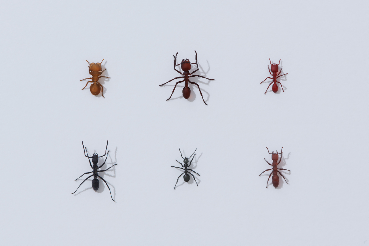 1758098186748790.png 2.png