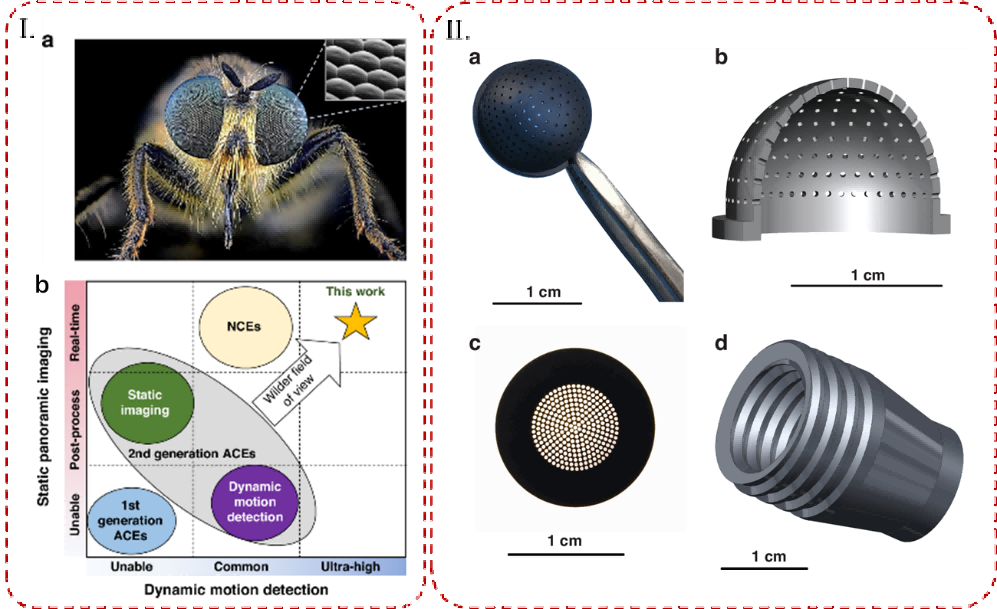 1758099203654799.png 5.png