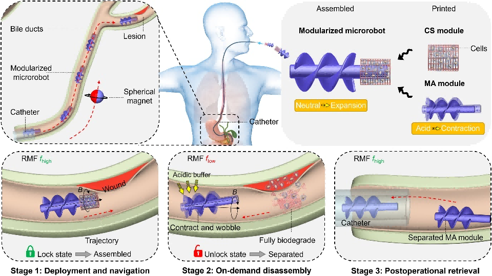 1758099891778715.png 1.png