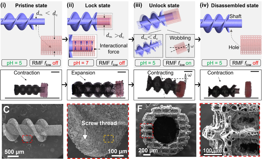 1758099900333186.png 2.png