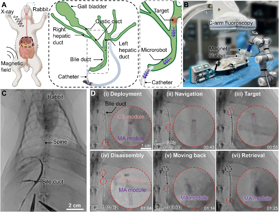 1758099908356811.png 3.png