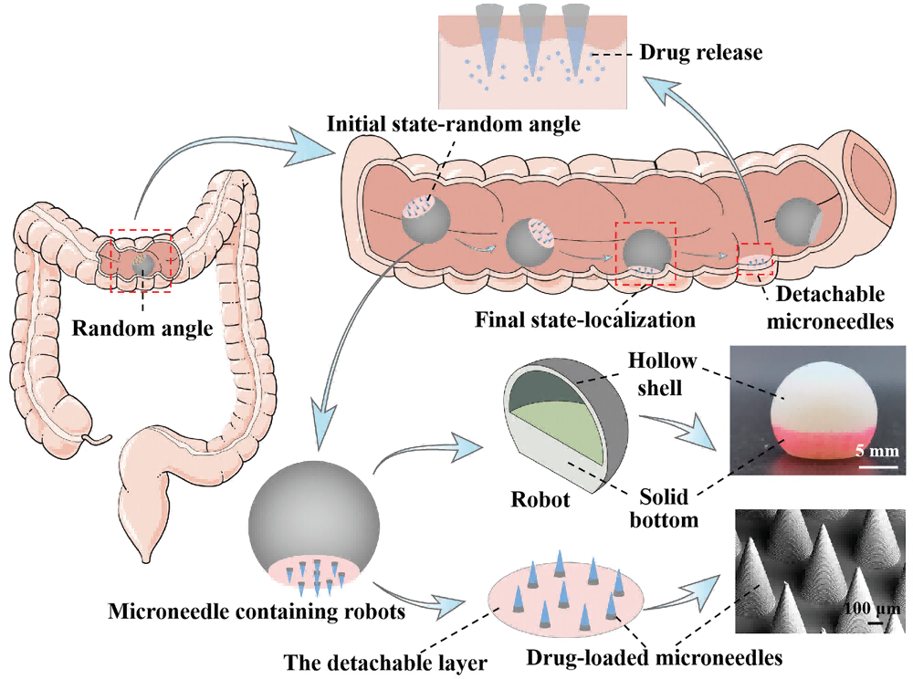 1758099925195201.png 4.png