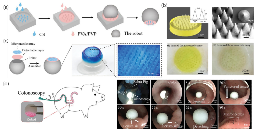 1758099934140270.png 5.png