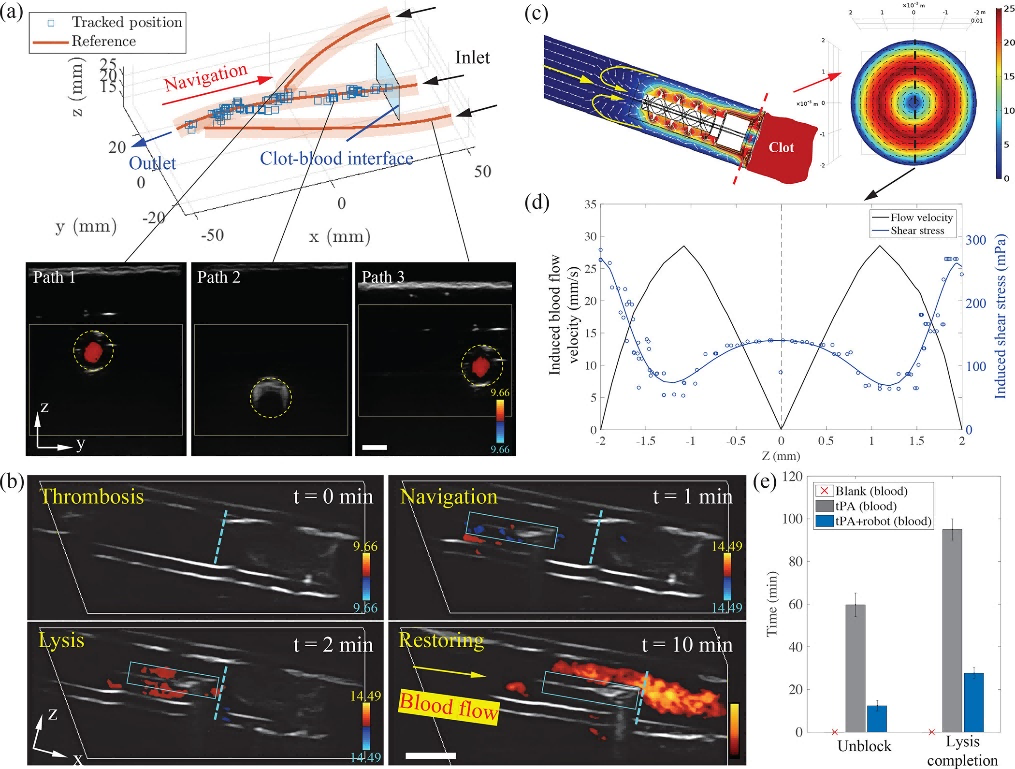 1758099953733498.png 7.png