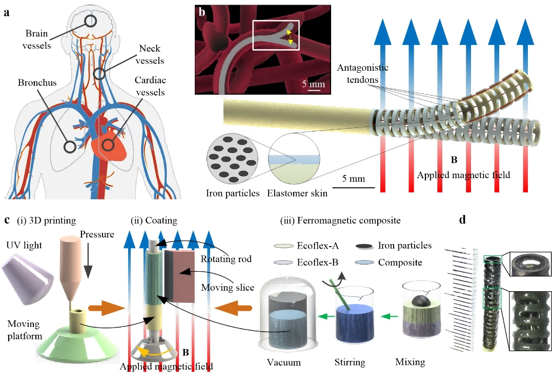 1758099966999145.png 8.png