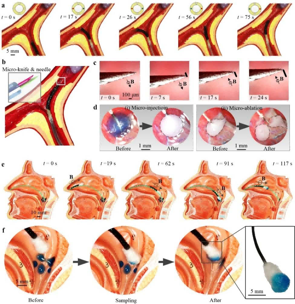 1758099975462719.png 9.png