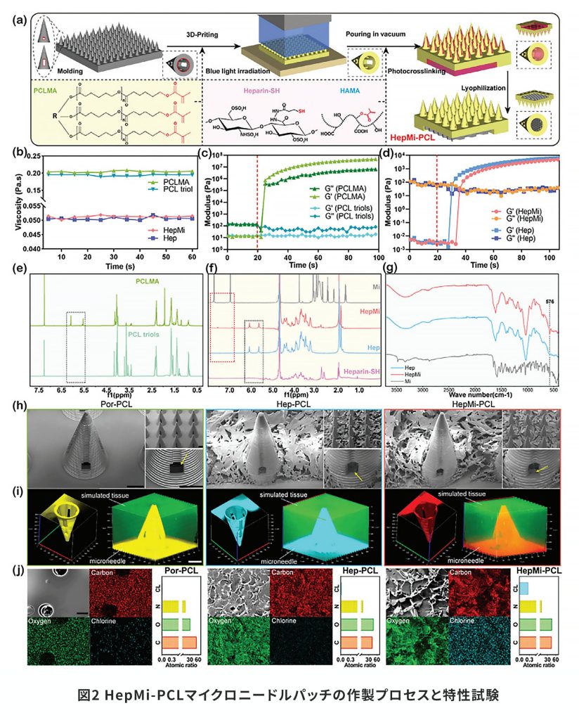 図2 HepMi-PCLマイクロニードルパッチの作製プロセスと特性試験