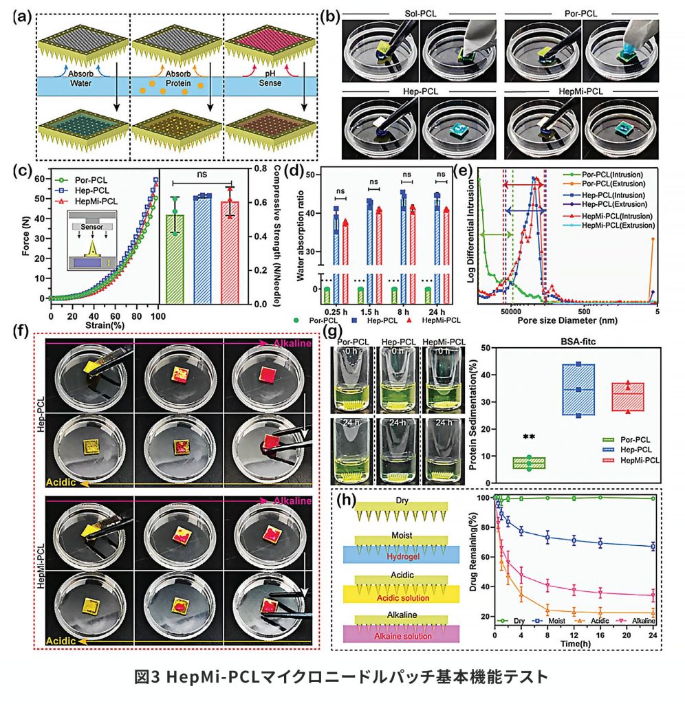 図3 HepMi-PCLマイクロニードルパッチ基本機能テスト