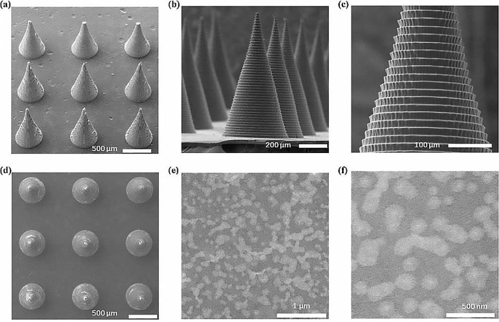 図11 倍率を変えたマイクロニードルパッチのSEM像