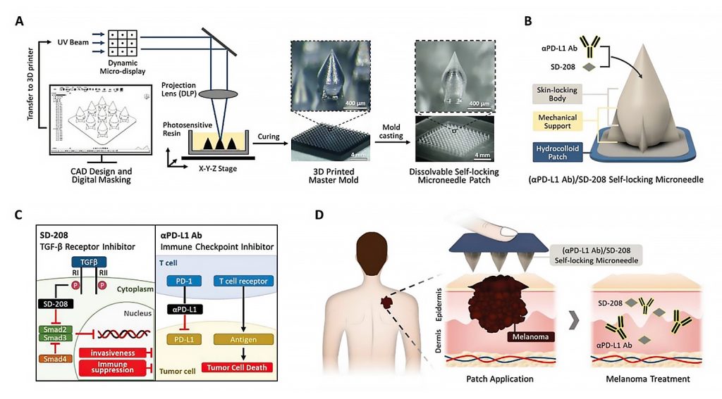 図6 αPD-L1Ab/SD208薬物を搭載したセルフロックマイクロニードルの製作および黒色腫治療メカニズム