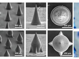 図7 従来のマイクロニードルとセルフロックマイクロニードルのSEMおよび光学像